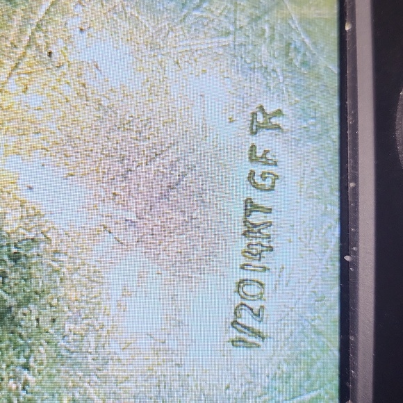 Princess Pride Creations - Picture 5 of 6